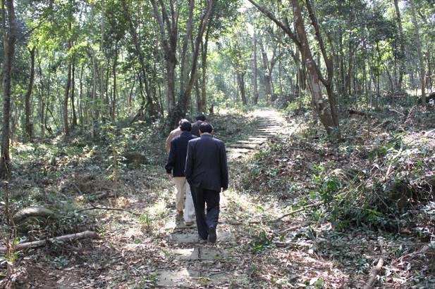 Lac vao tien canh vuon thuc vat tai Phong Nha Ke Bang-Hinh-4